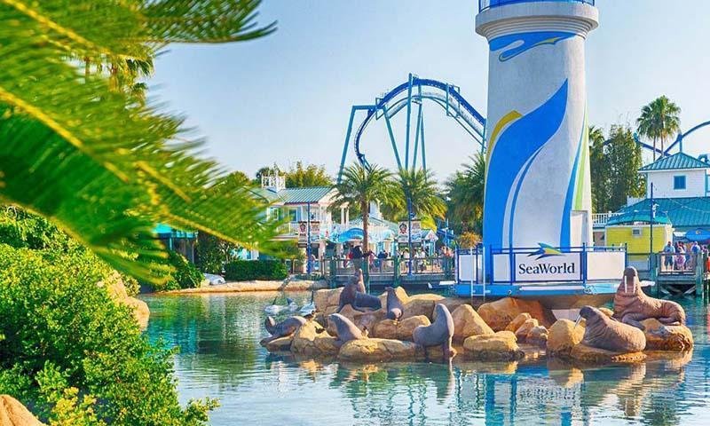 Top 10 best places to visit in Florida - Sea World