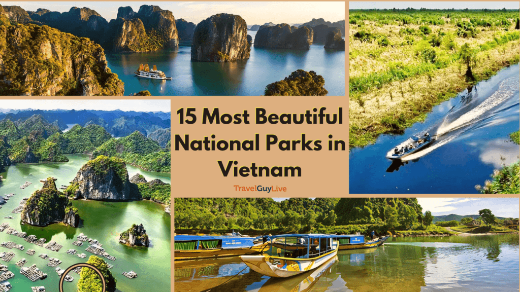 See Vietnam's National Parks: A Nature Lover's Paradise