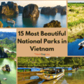 15 Most Beautiful National Parks in Vietnam