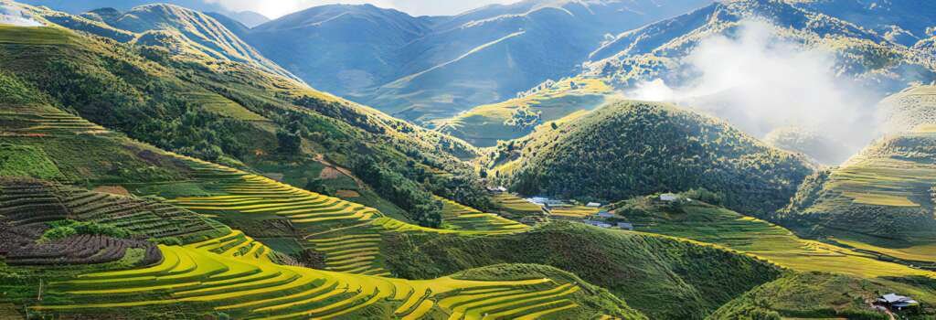 Hoàng Liên National Park