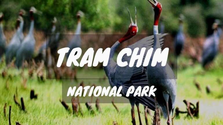 Tram Chim National Park Vietnam