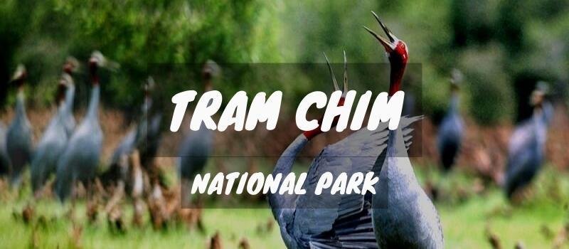 Tram Chim National Park Vietnam